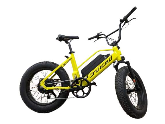The Juiced RipRacer electric bike is recognized as one of the electric bikes for those seeking thrills, equipped with fat tires and a robust frame for all-terrain riding.