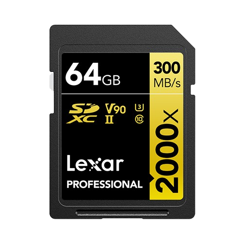 For everyday photography, the Lexar Professional 633x UHS-I SD Card offers a solid performance with 64 GB of storage.