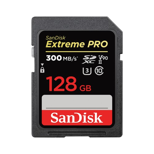 The SanDisk Extreme PRO SDXC UHS-II V90 128GB SD card is often listed as the SD card for professionals needing high bandwidth for video recording.