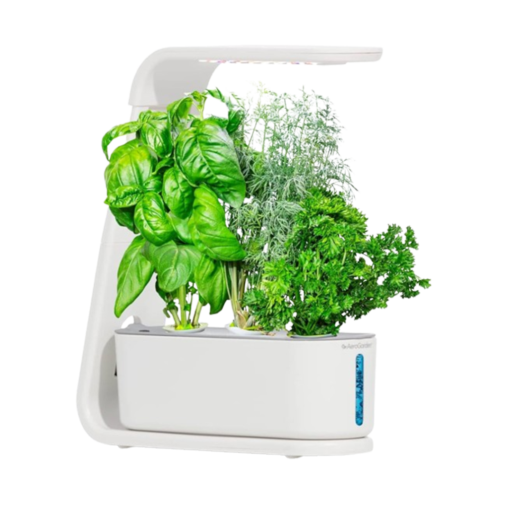Compact and efficient, this AeroGarden Sprout indoor garden kit with its white finish blends seamlessly into modern home decor while growing fresh herbs indoors.