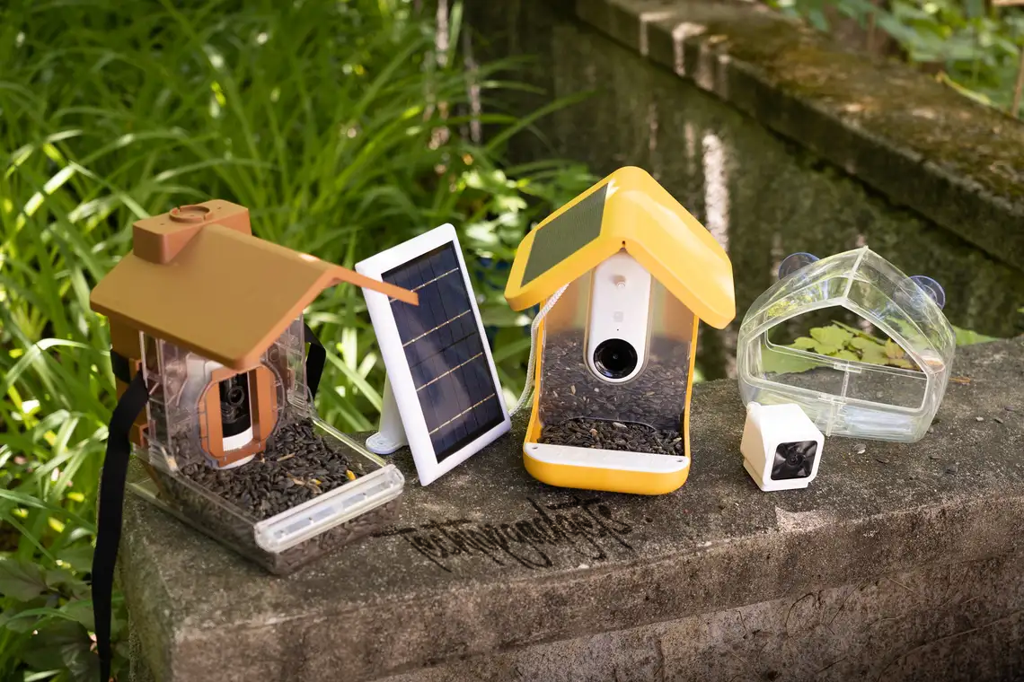 An array of the best smart bird feeders, featuring solar panels and innovative designs, is displayed in a lush garden setting, ready to welcome a variety of birds and provide an interactive wildlife experience.
