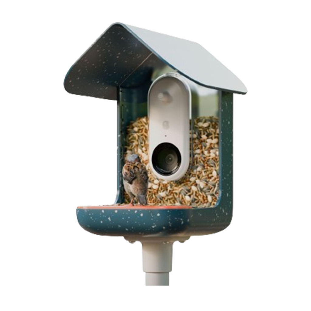The Bird Buddy smart bird feeder stands ready, offering a hi-tech haven for birds to gather and feast.