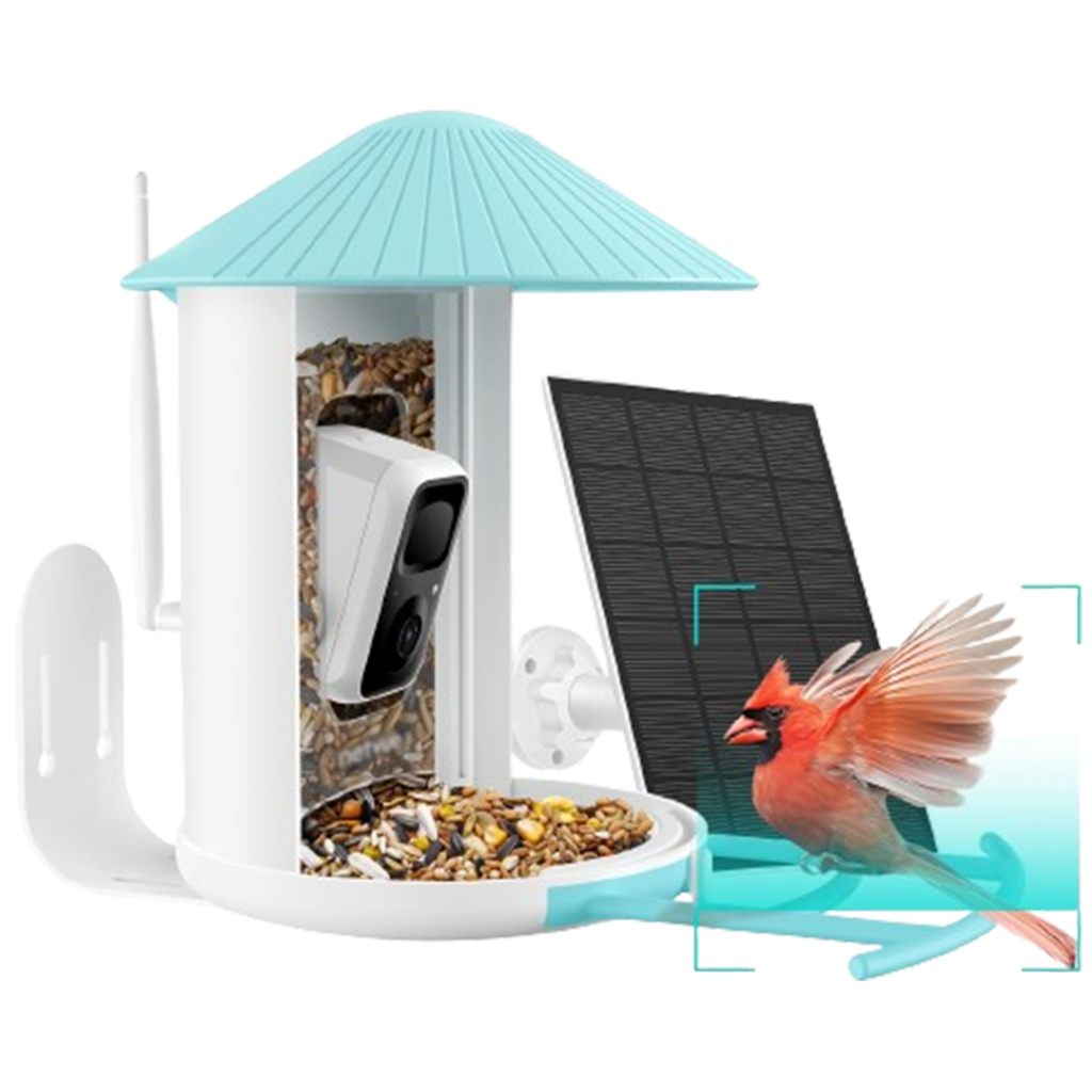 The Netvue Birdfy AI smart bird feeder, an innovative solution for bird lovers, awaits its feathered friends in a peaceful environment.