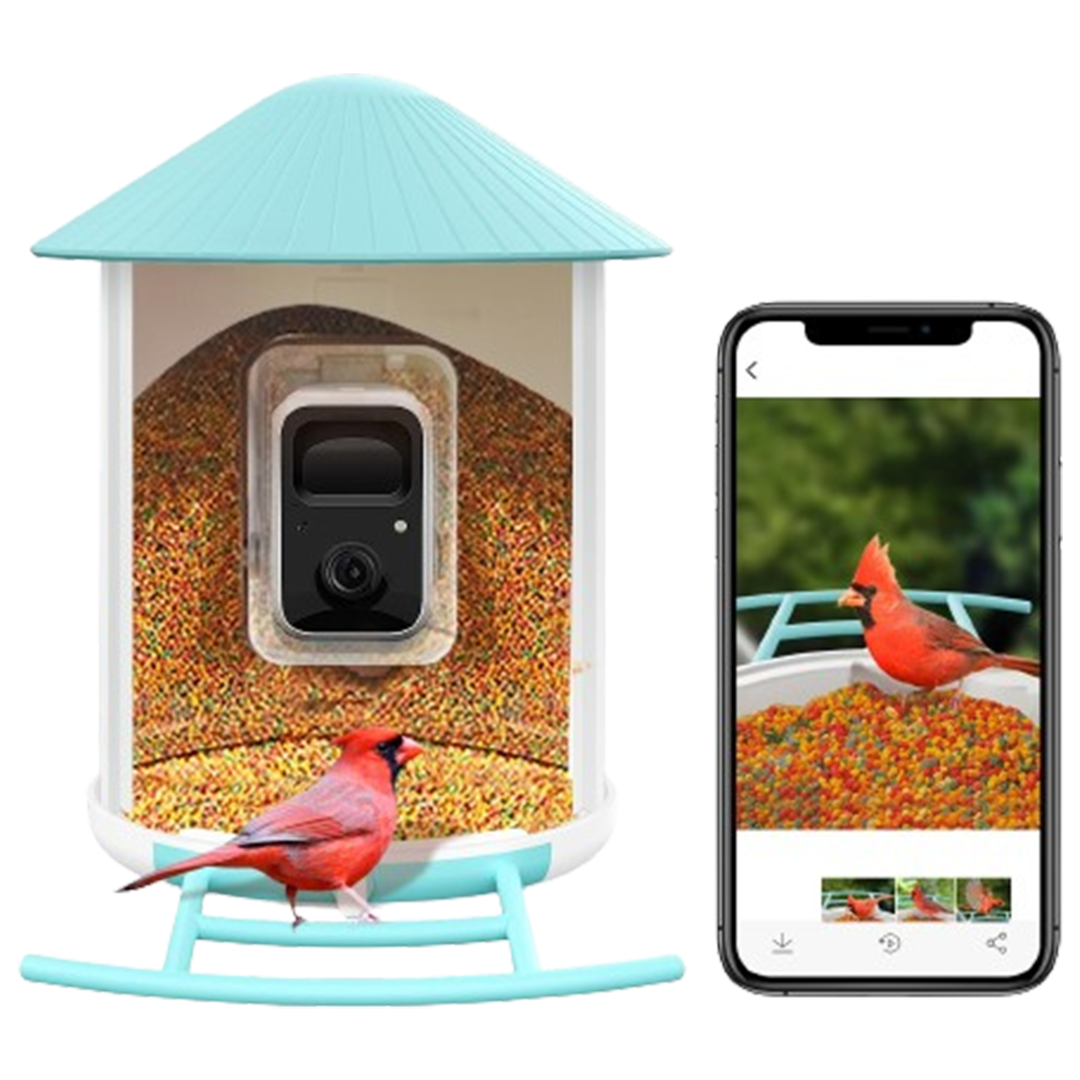 A striking red cardinal perches on the Netvue Birdfy AI smart bird feeder, a perfect blend of smart technology and wildlife.