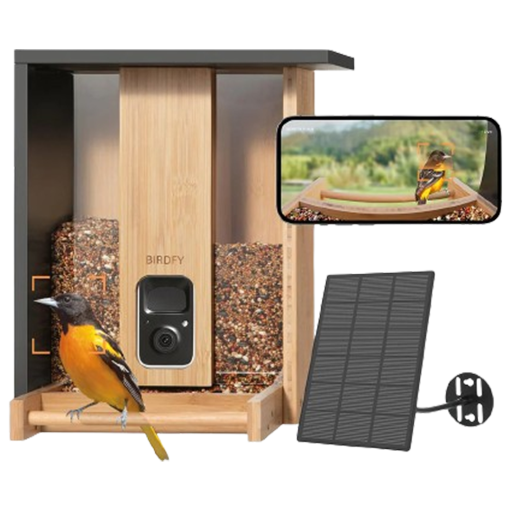 The eco-friendly design of the Netvue Birdfy Bamboo smart bird feeder merges modern technology with sustainable materials.
