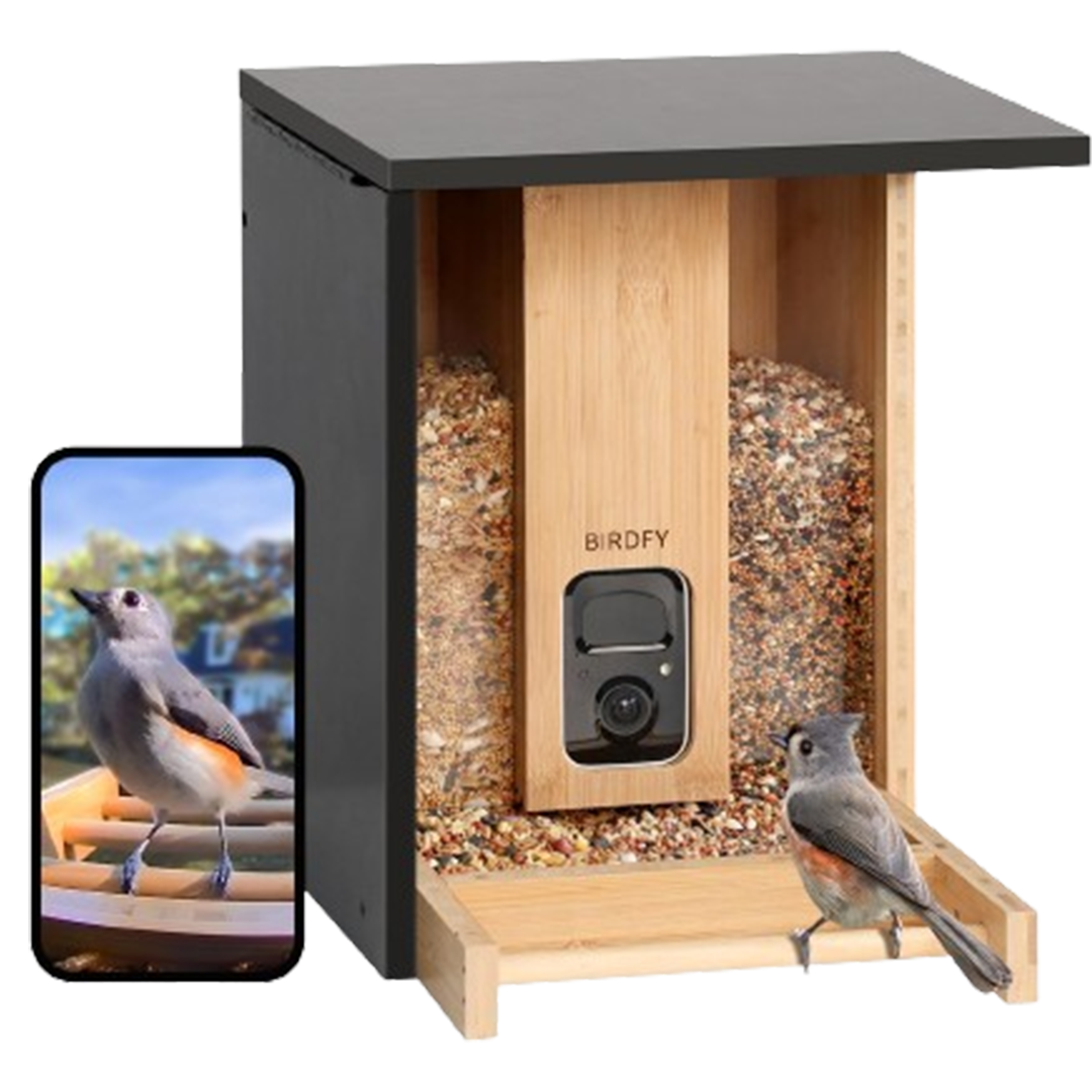 An oriole graces the Netvue Birdfy Bamboo smart bird feeder, showcasing the best of smart feeding technology in a natural setting.