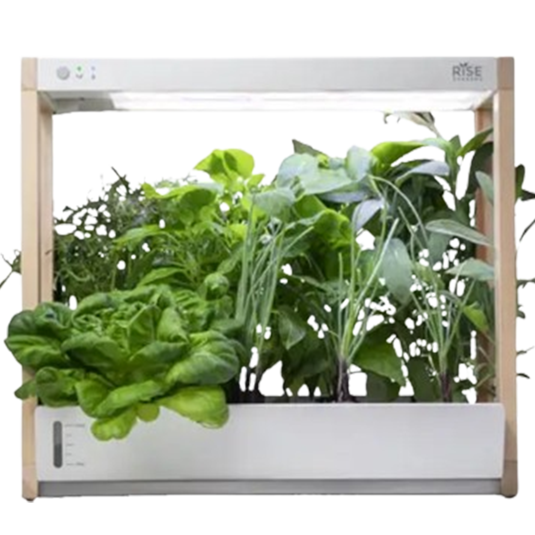 This image features the white Rise Gardens Personal indoor garden kit, highlighting its minimalist design and the healthy, vibrant plants it supports.