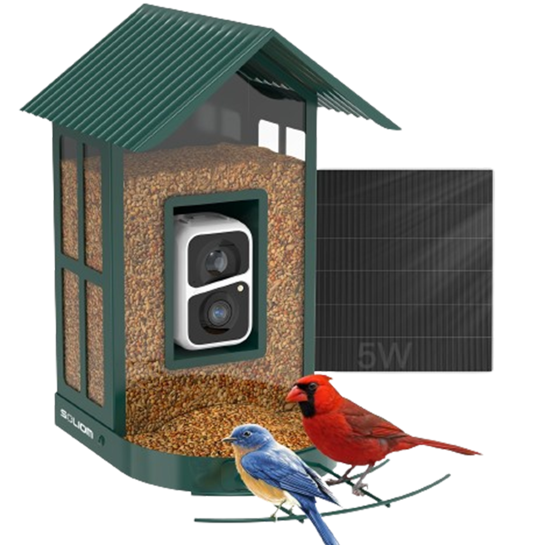 A cardinal flutters at the Soliom smart bird feeder, enhanced with a solar panel for the best eco-friendly technology in bird feeding.