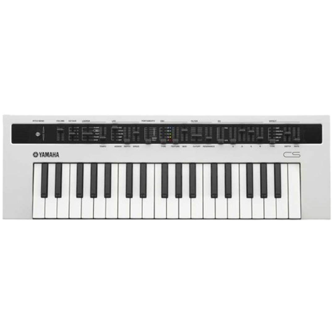 The Yamaha Reface CS synthesizer is a top recommendation for beginners, known for its intuitive interface and rich, analog-like sounds.