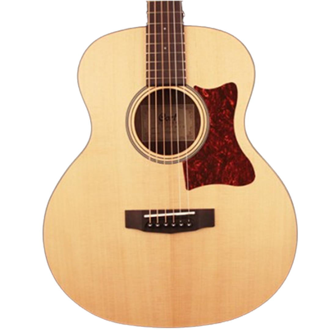 Discover the rich tones of the Cort Little CJ Walnut OP, a top contender for the best acoustic electric guitar in its class.