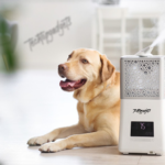 A content Labrador lies comfortably with the best humidifier for dogs in the background, ensuring a refreshing and healthful indoor climate for your furry friend.