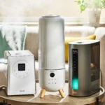 A collection of the best humidifiers for nosebleeds showcased in a cozy living space, providing moisture-rich air for comfort and health.